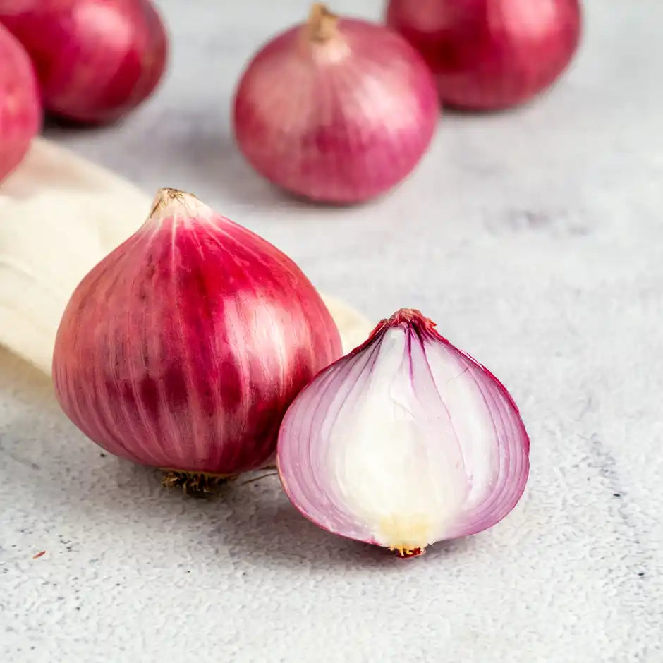 Organic Onion – Farm Fresh & Chemical Free